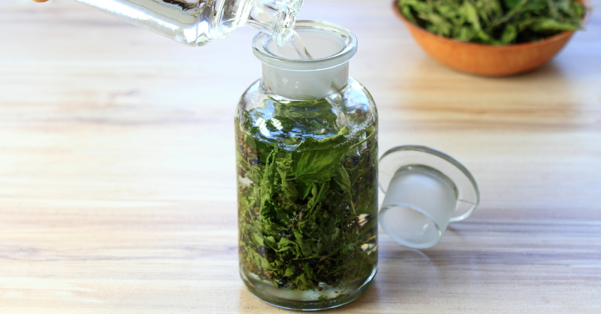 Skullcap uses