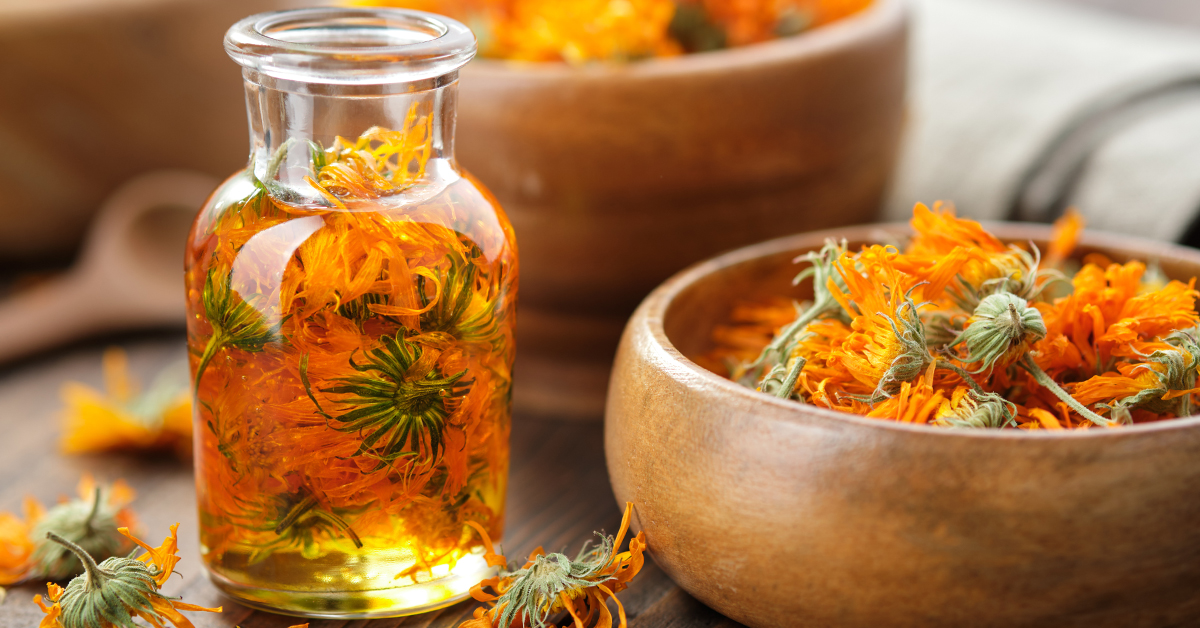 Calendula petals oil