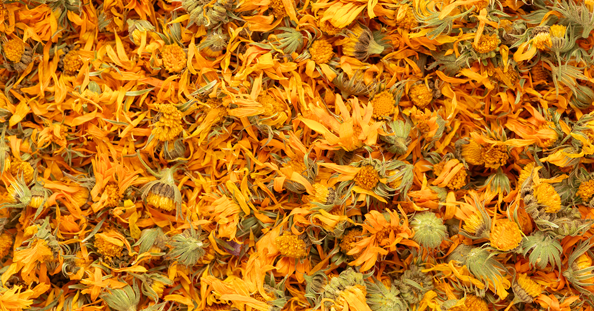 Calendula uses