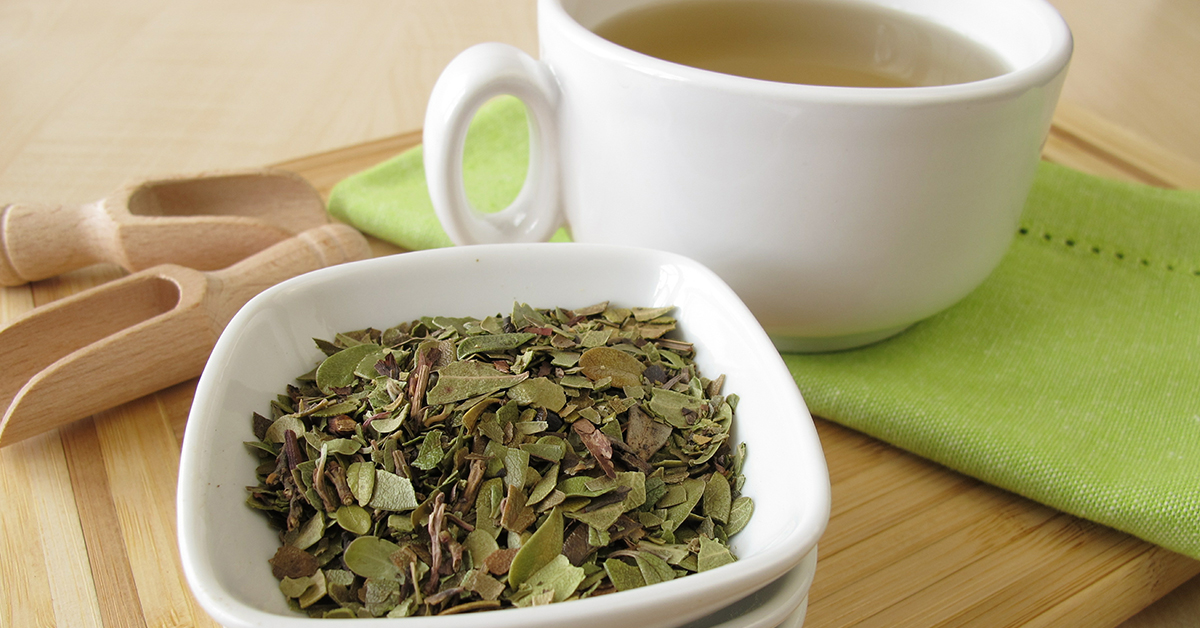 Bearberry uses
