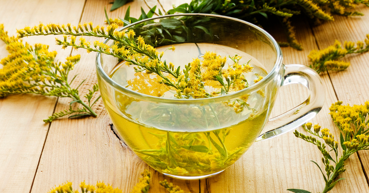 Goldenrod tea for healthy kidneys