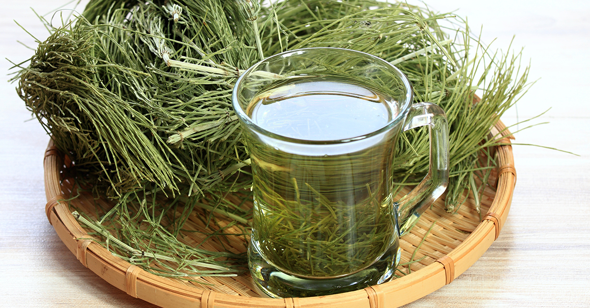 Horsetail uses