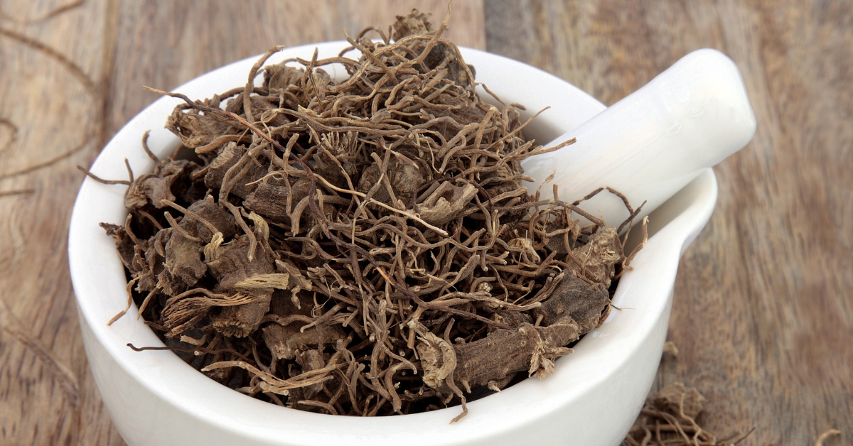 Black cohosh uses