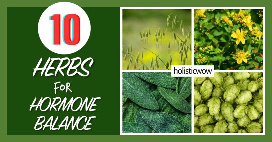 Herbal remedies for hormonal balance