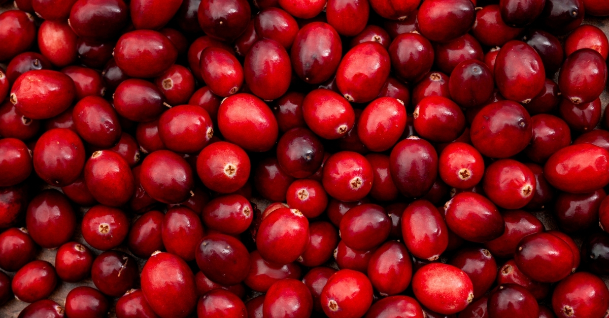 Cranberry uses