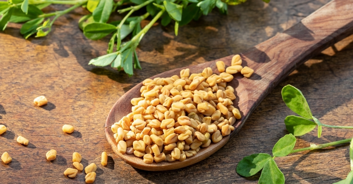 Fenugreek uses
