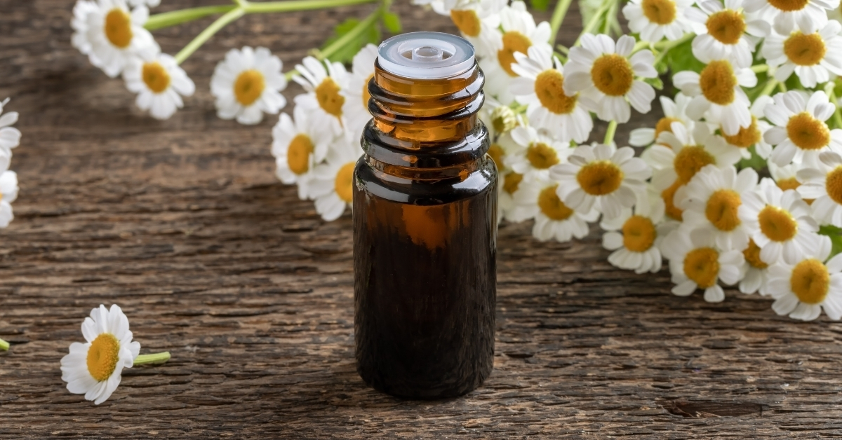 Feverfew uses