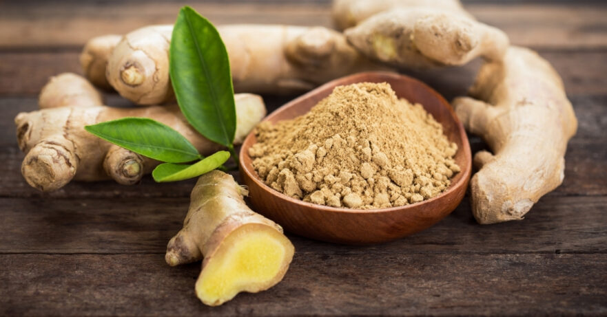 Zingiber officinale monograph