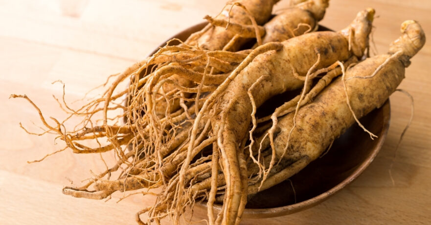 Panax ginseng monograph