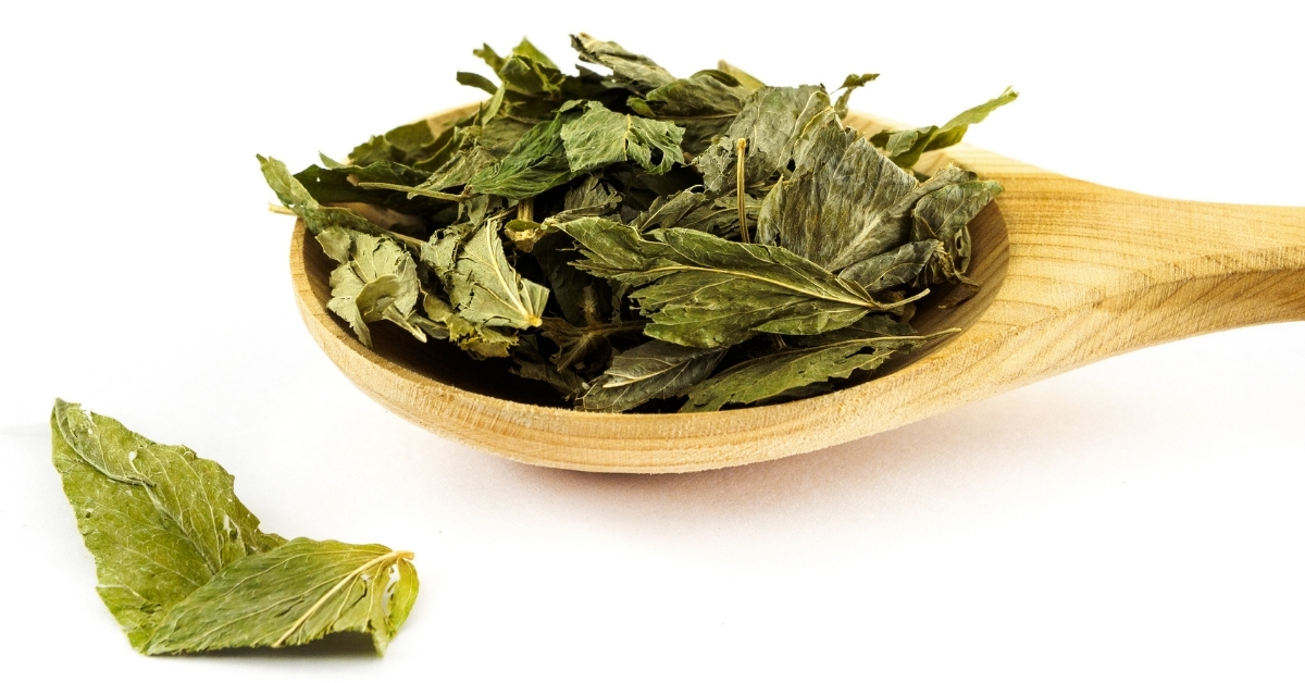 Goat's rue uses