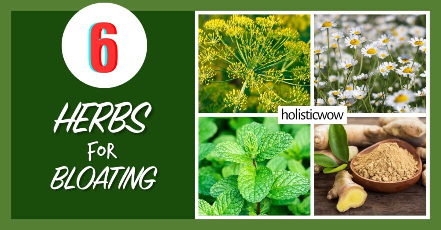 Herbs for bloating