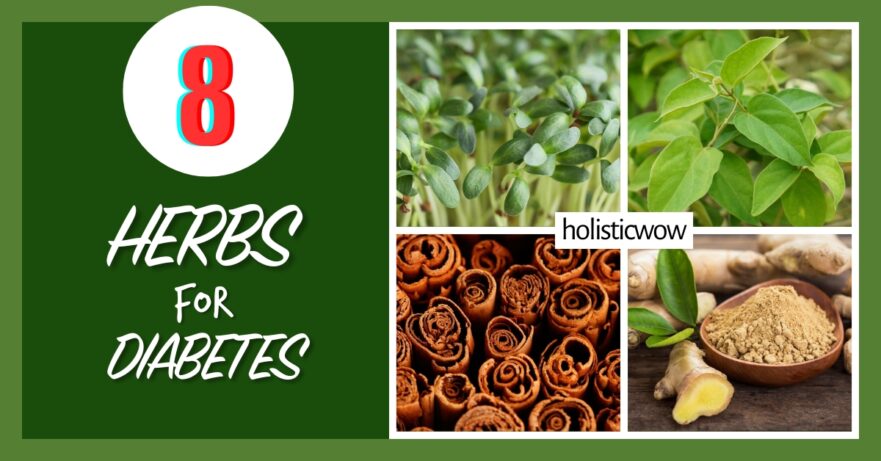 Herbs for diabetes
