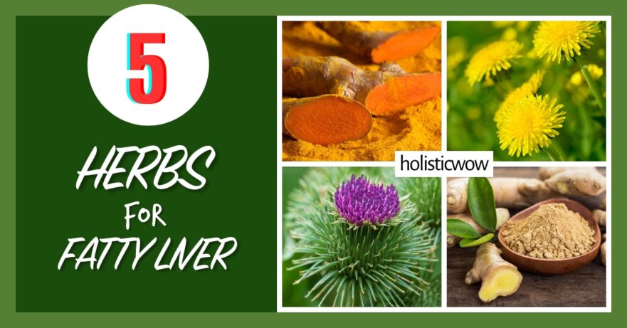 Herbs for fatty liver