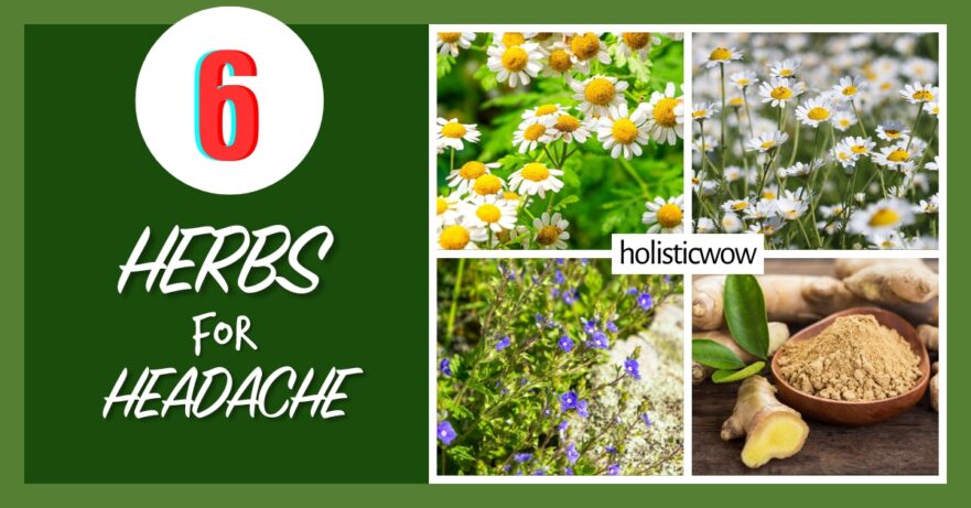 Herbs for headache