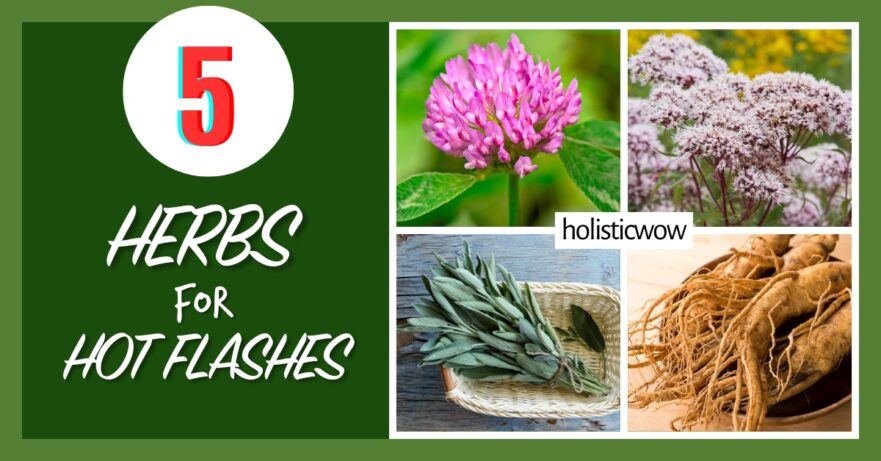 Herbs for hot flashes