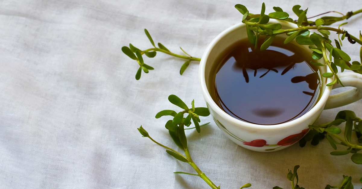 Herbal blend for improving memory