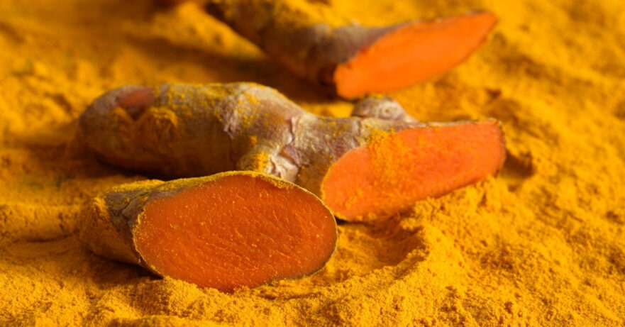 Curcuma longa monograph
