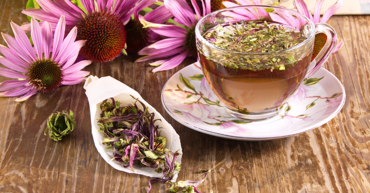 Herbal tea for immune system support