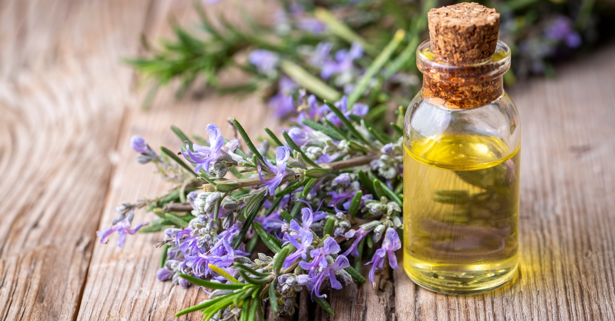 Rosemary hair growth tonic