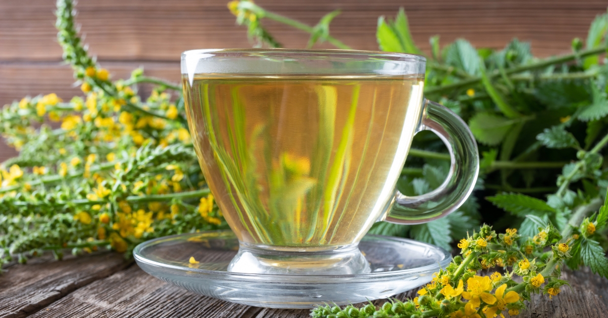 Agrimony tea for easing stomach discomfort