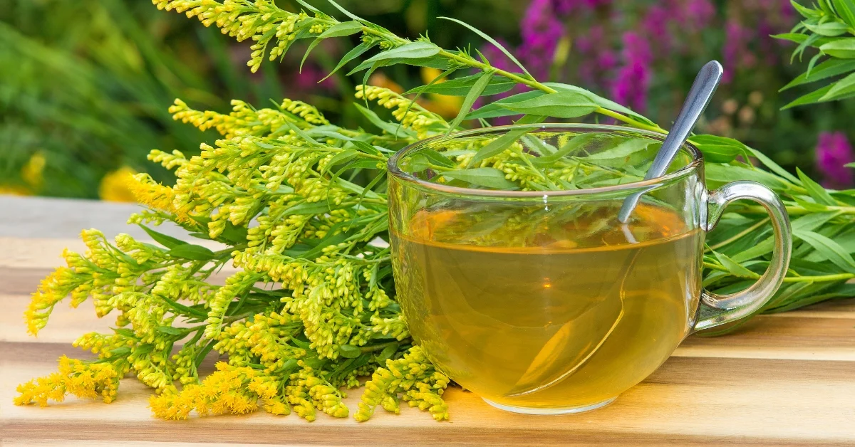 Kidney cleanse blend