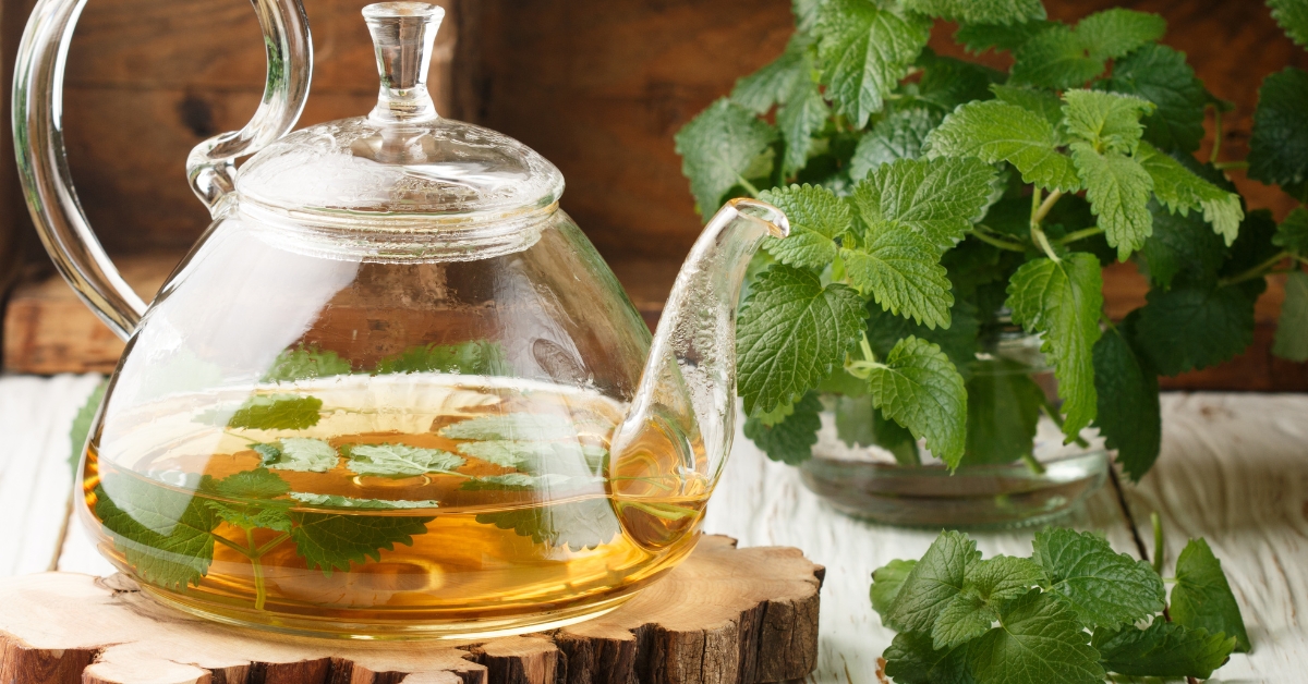 Antiviral herbal blend