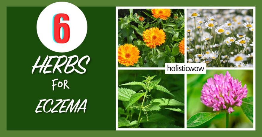 Herbs for eczema