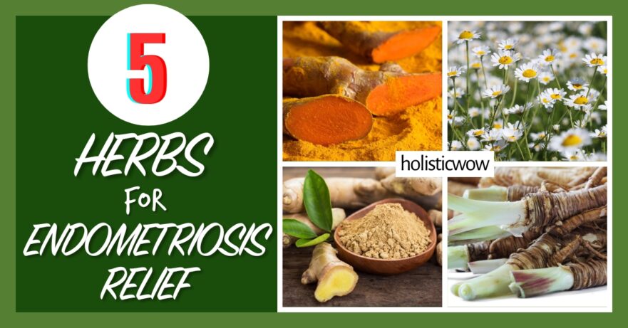 Herbs for endometriosis