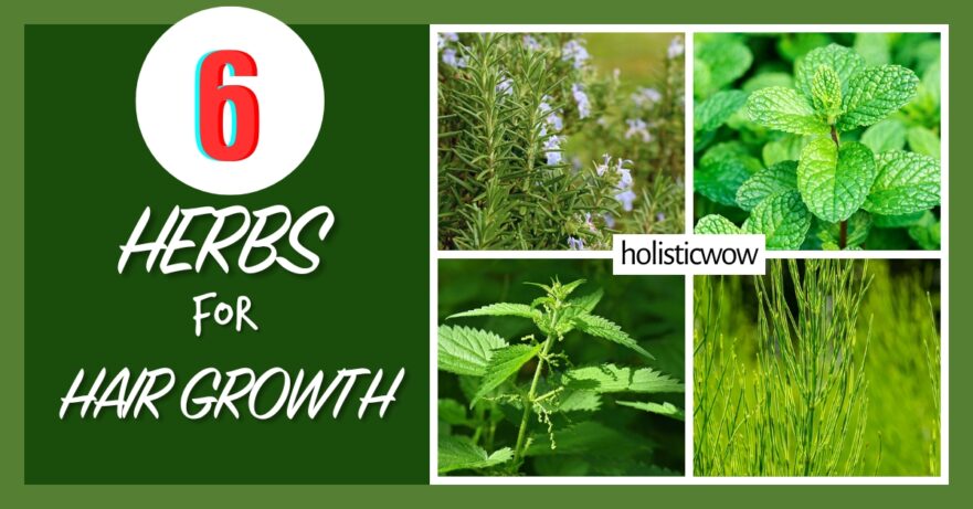 Herbs for hair growth