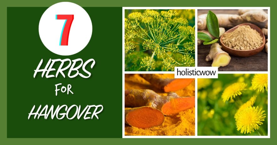 Herbs for hangover