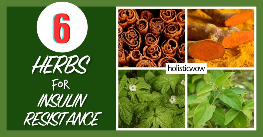 Herbs for insulin resistance