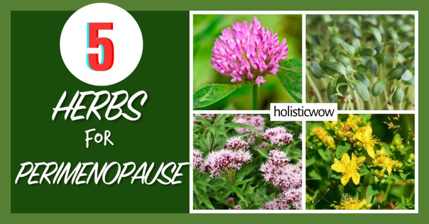 Herbs for perimenopause