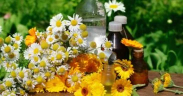 6 Powerful Herbs to Soothe Eczema Naturally | HolisticWow
