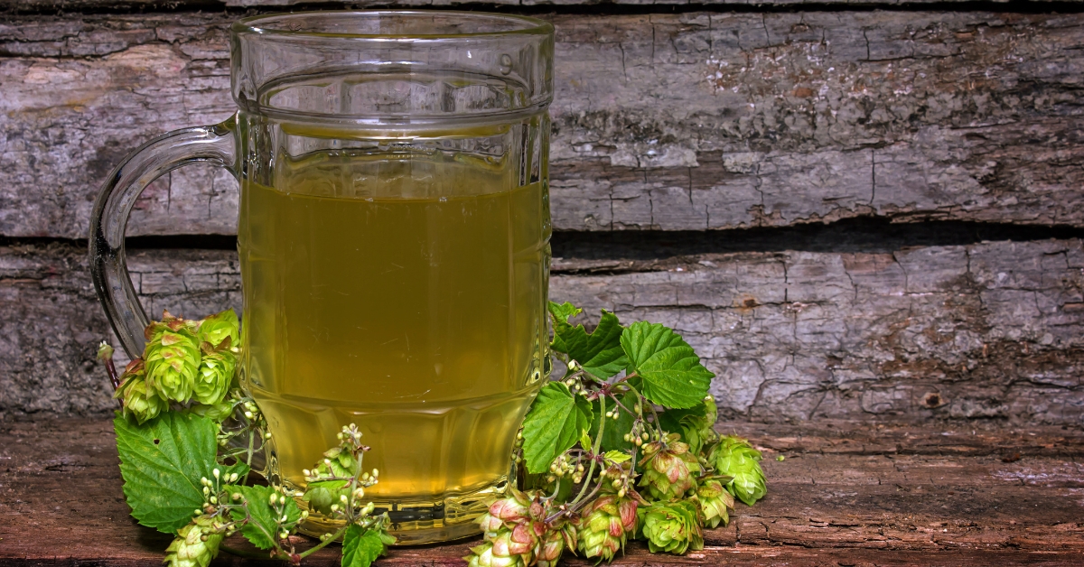 Hops drink for cholesterol