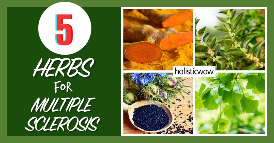 Herbs for multiple sclerosis