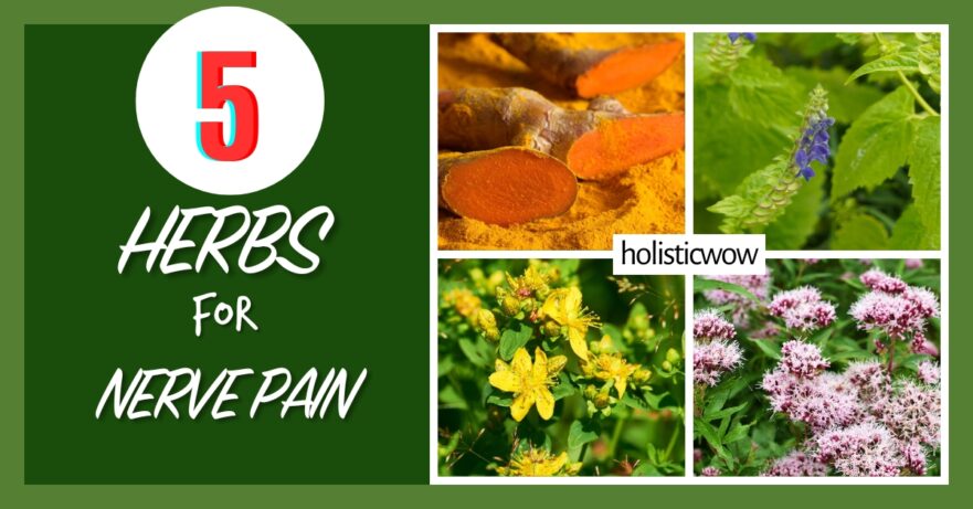Herbs for nerve pain