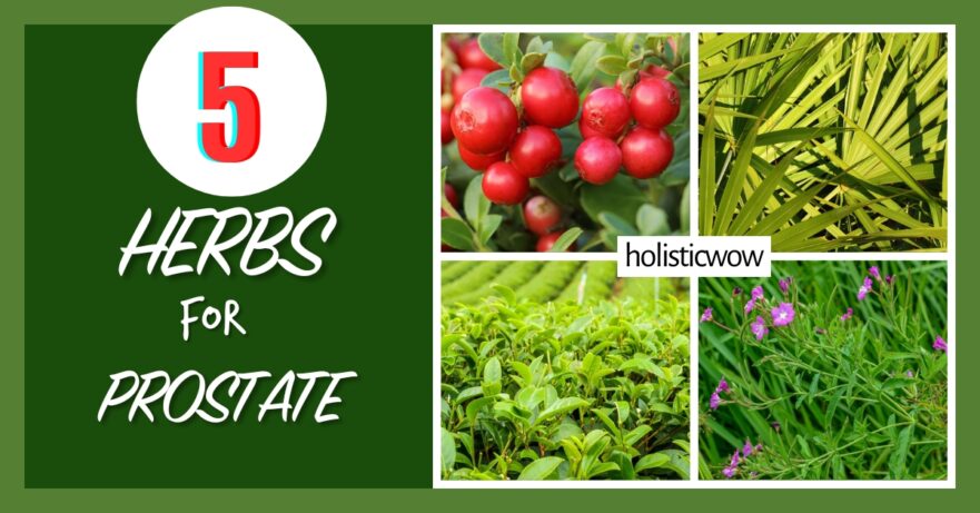 Herbs for prostate