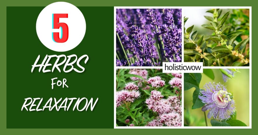 Herbs for relaxation