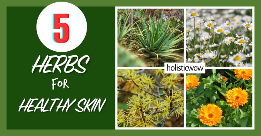 Herbs for skin