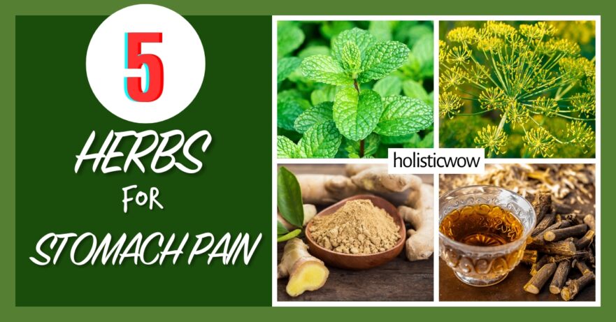 Herbs for stomach pain