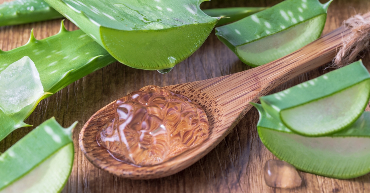 Aloe vera uses