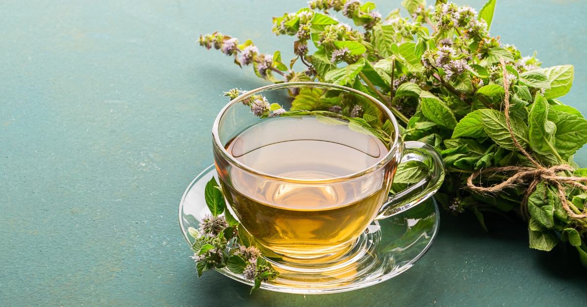 Herbal tea for asthma