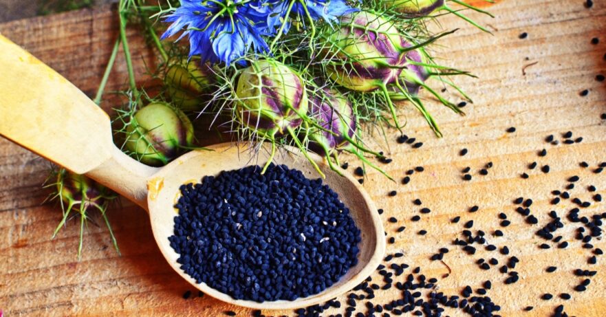 Black seed monograph