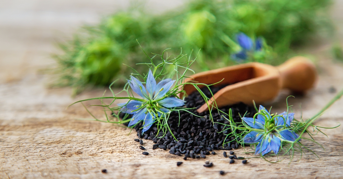 Black seed uses