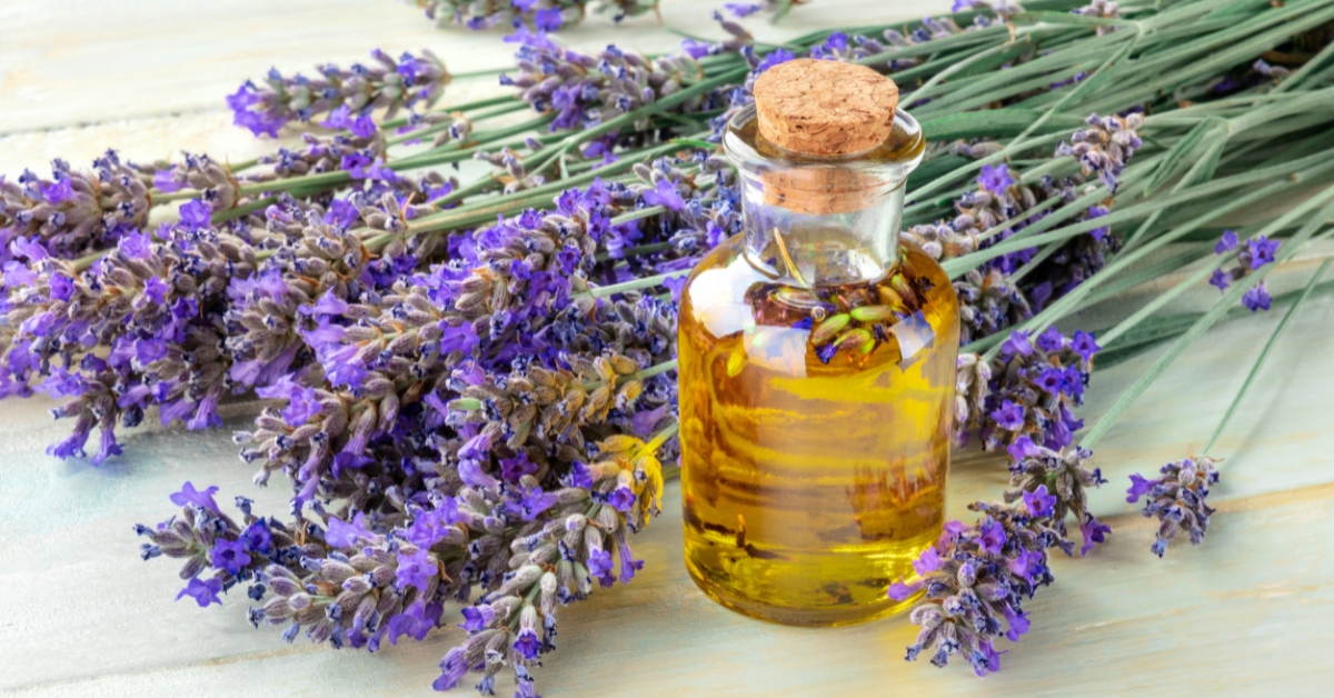 Lavender tincture for skin