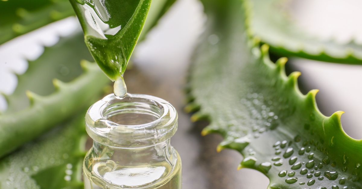 Aloe vera gel for skin