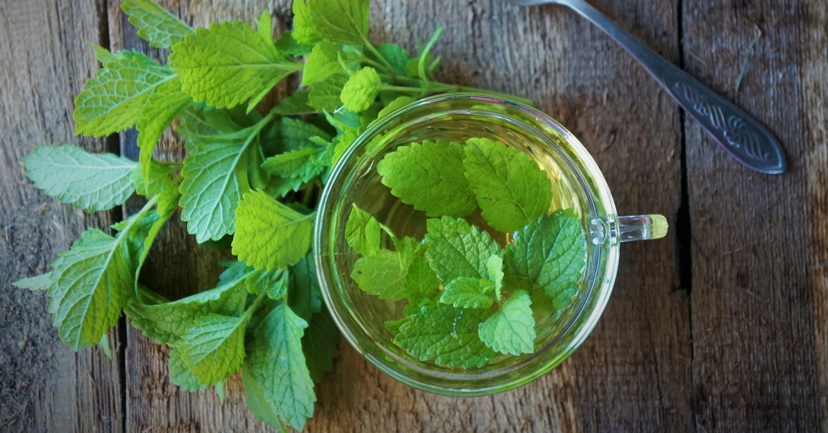 Herbal tea for better relaxation