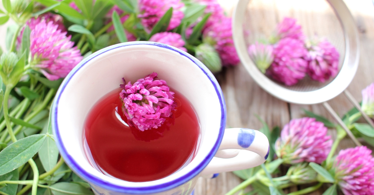 Tea for hormone balance