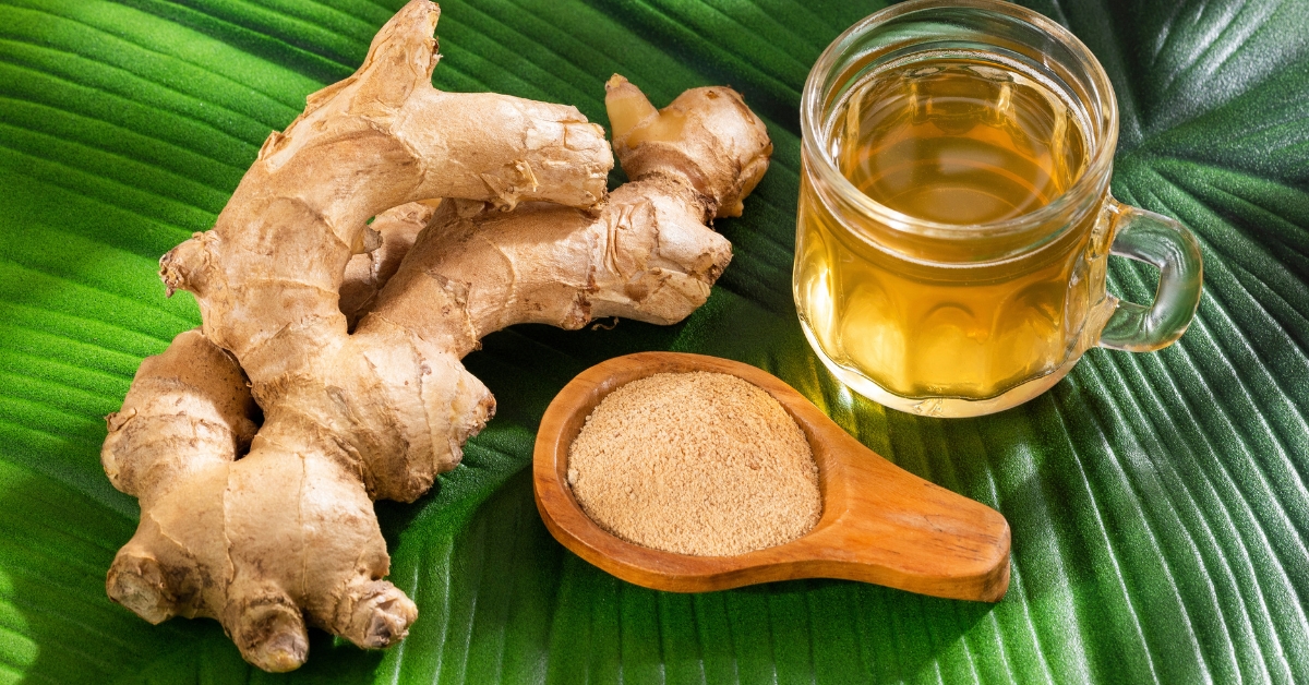Herbal tea with ginger and ginkgo