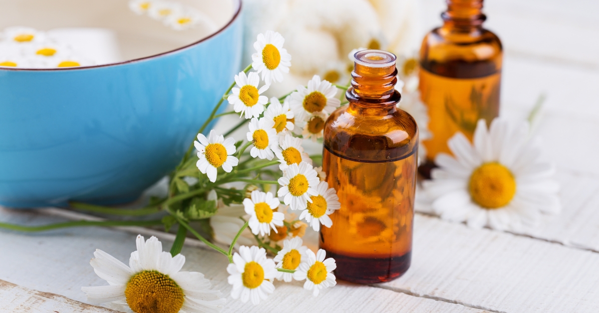Chamomile blend for hemorrhoid relief